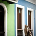 Juan Gato Photo 36