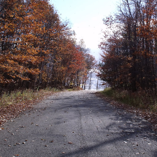 Carol Dupuis Photo 11