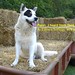 Elaine Friday Photo 16