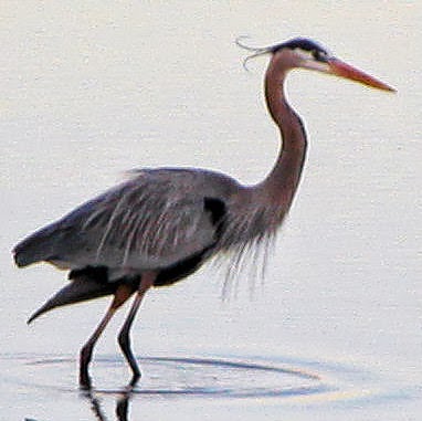 James Farrar Photo 14