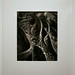 Adam Root Photo 31
