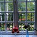 James Herbst Photo 46