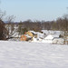 Adam Bushman Photo 31