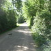 Sam Friedberg Photo 14