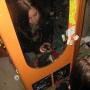 Shauna Olson Photo 24