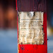 Randall Jones Photo 41