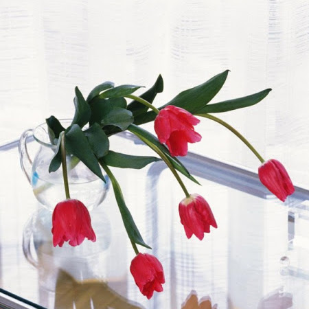 Yang Zheng Photo 15