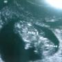 Jacob Whitehead Photo 27