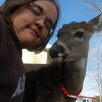 Krysta Cook Photo 3