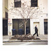 Lance Rothstein Photo 13