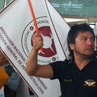 Luis Aros Photo 7