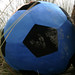 Lisa Lavelle Photo 31