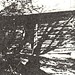 Elnora Brown Photo 23