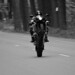 Darren Beatty Photo 26