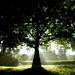Rebecca Everhart Photo 26