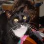 Donna Denney Photo 18