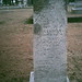 William Mckinney Photo 46