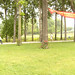 Zhou Zheng Photo 34