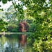 Stephen Sibley Photo 26