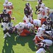 Michael Mayes Photo 36