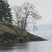 Rocky Stevenson Photo 25