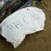 Sally Hale Photo 38