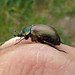 Christopher Heide Photo 25