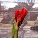 Gregory Sayre Photo 12