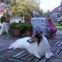 Sandra Selby Photo 4