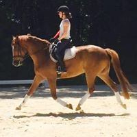 Erin Honeycutt Photo 3
