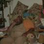 John Ostman Photo 11