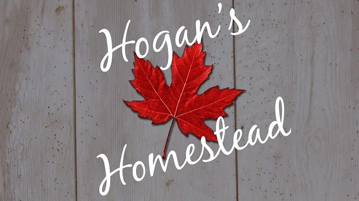 Spencer Hogan Photo 33