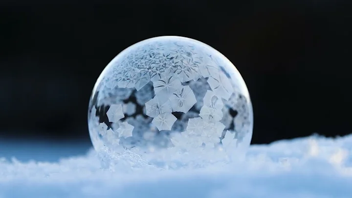 Palle Christensen Photo 19