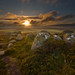 Carl Nicks Photo 17