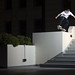 Josh Murphy Photo 50