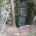 Fred Cagle Photo 15