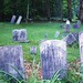 Mary Fredericks Photo 31
