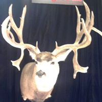 Brian Stubblefield Photo 8