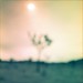 Joshua Darling Photo 32