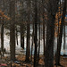 Tammy Kerr Photo 43