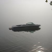 Matt Walsh Photo 2