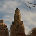 Nicholas Hess Photo 37