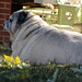 Frank Day Photo 46