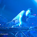 Ben Kirkland Photo 38