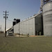 Adam Schrag Photo 11