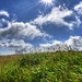 Forrest Hooper Photo 14