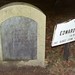 Edward Gray Photo 43