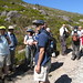 Paul Hodgins Photo 23