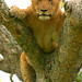 Elizabeth Wild Photo 35