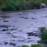 Todd Sievers Photo 8